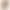 پاکت ساندویچ کوتاه و بلند ساده و چاپی